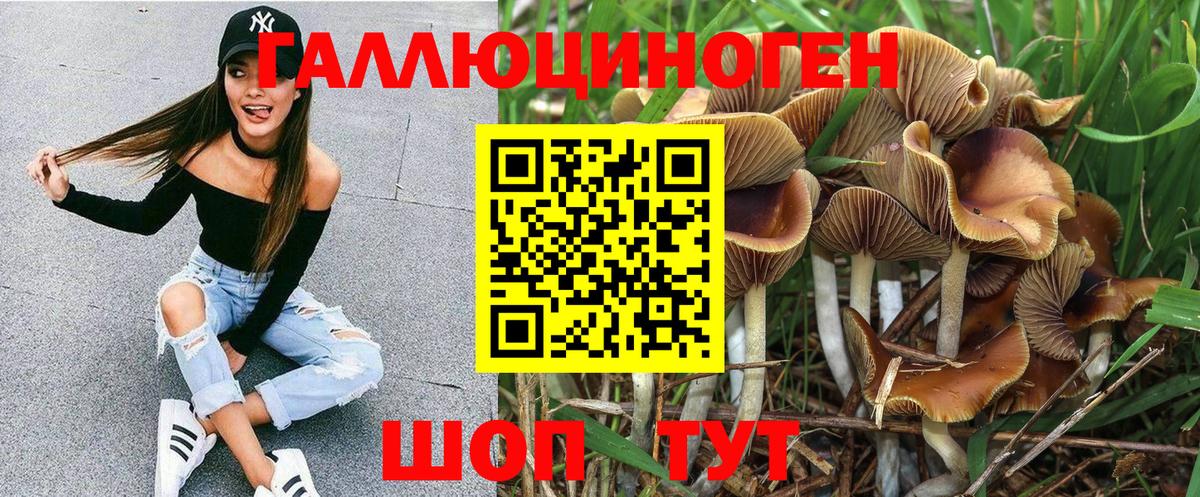 Псилоцибиновые грибы ЛСД Свободный